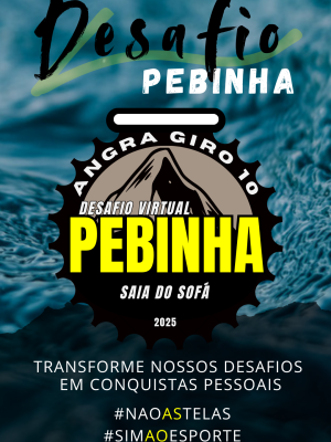 DESAFIO PEBINHA